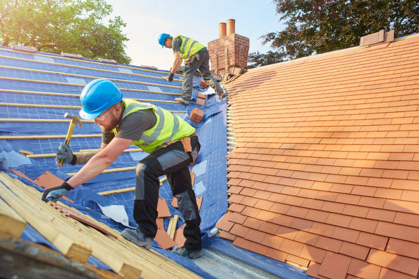 Best Roof Ventilation Installation  in Mason Neck, VA